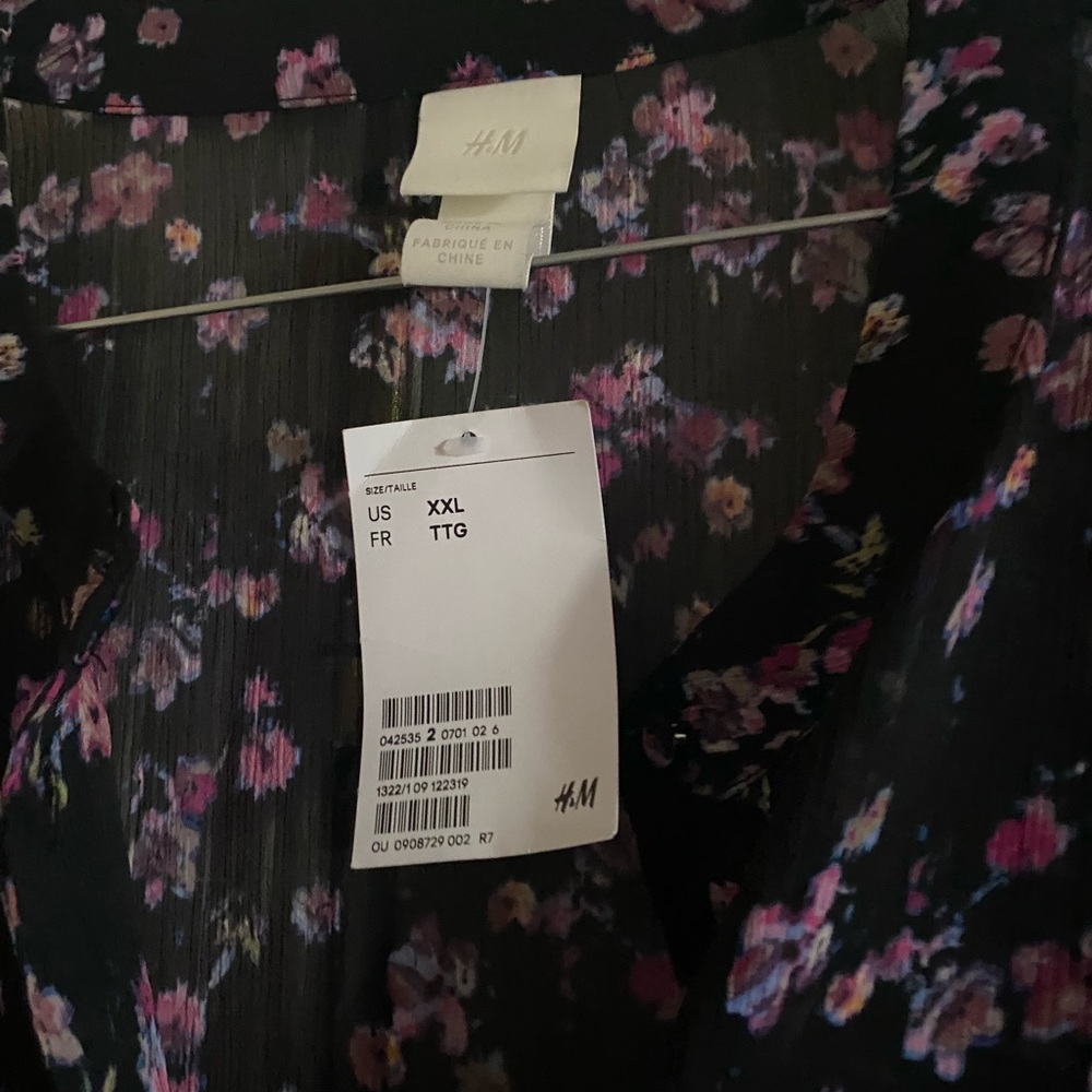 Plus Size Sheer Dress